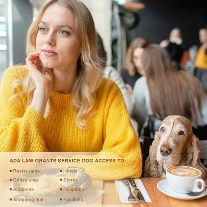 Leash King Surgical Stainless Steel PVD Gold K9 Pet ID Jewelry Tag - Slide on Dog Collar or Harness Quickly and Securely – No Noise, Durable - Stylish & Comfortable - Perfect for Dogs & Cats/Small