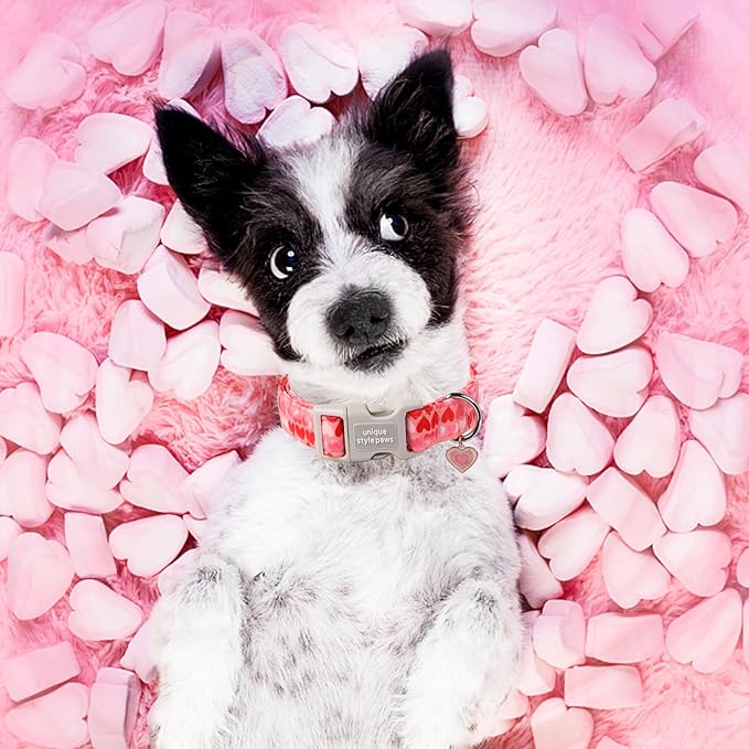Unique style paws Valentine's Day Dog Collar Plastic Buckle Collar with Pendant Painting Love Heart Gift Wedding Small Medium Large Boys Girls Dogs
