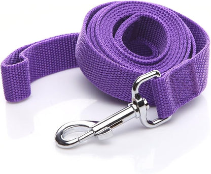 Nylon Dog Leash 12 Feet Long, Walking Training Dog Leashes for Medium Large Dogs(1" X 12 ft, Purple)