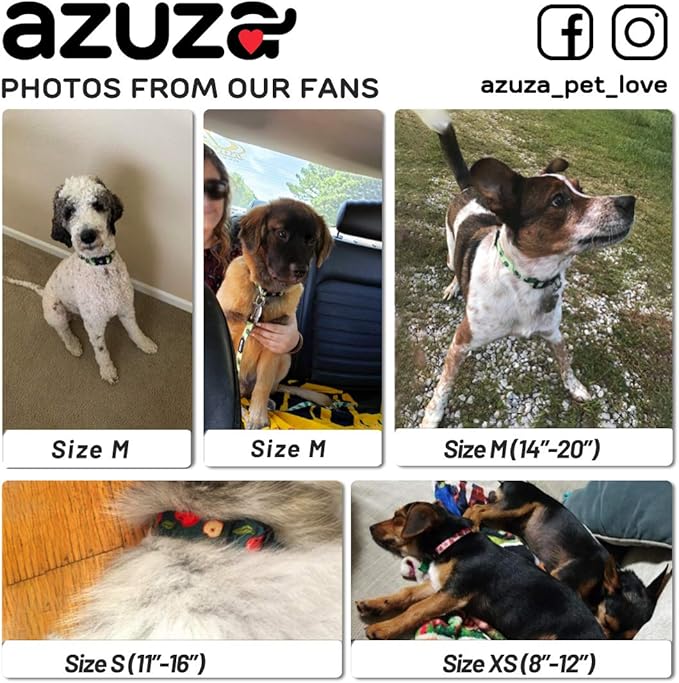 azuza Dog Collar and Leash Set, Fun Avocado Patterns on Nylon Collar and Matching Leash, Great Option for Large Dogs