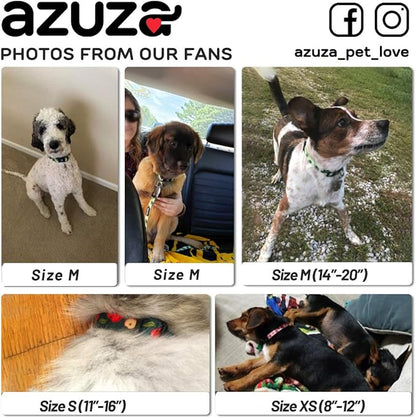 azuza Dog Collar and Leash Set, Fun Avocado Patterns on Nylon Collar and Matching Leash, Great Option for Large Dogs