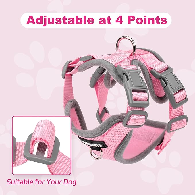 Small Dog Harness and Leash Set, No Pull Adjustable Pet Harness for Small Dogs, Breathable Mesh Rflective Dog Vest Harness (Pink, XS)