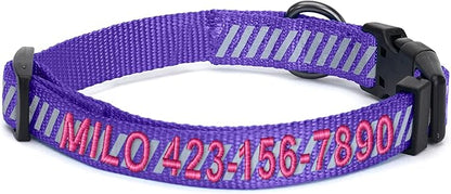 Pawtitas Reflective Dog Collar - Personalized Name & Phone Number, Adjustable for Small Dogs & Puppies, Purple