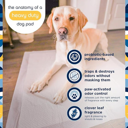 Pet Life Unlimited Heavy Duty Triple Extra Large Puppy Pads – 36" x 36", 25 Count (3XL) | Dog Training Pads with Odor Controlling Wetness-Activated Clover Leaf Scent | USA Made