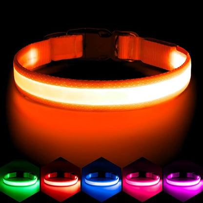 Vizpet LED Dog Collar, Light Up Dog Collar Adjustable USB Rechargeable Super Bright Safety Light Glowing Collars for Dogs(Large,Orange)