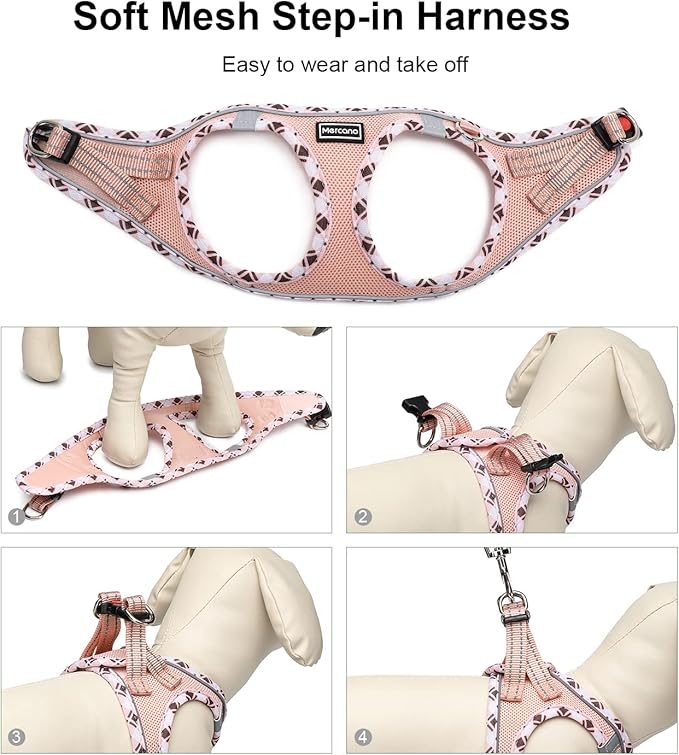 Mercano Soft Mesh Dog Harness and Leash Set, No-Chock Step-in Reflective Breathable Lightweight Easy Walk Vest Harnesses with Safety Buckle for Small Dogs, Cats (Champagne, M)