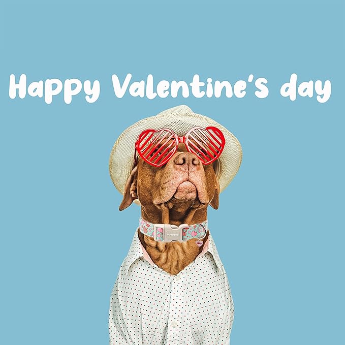 DOGWONG Valentine's Day Cute Loving Heart Printed Collar for Small Medium Large Dogs - Blue Cotton Collar for Girl and Boy Dogs