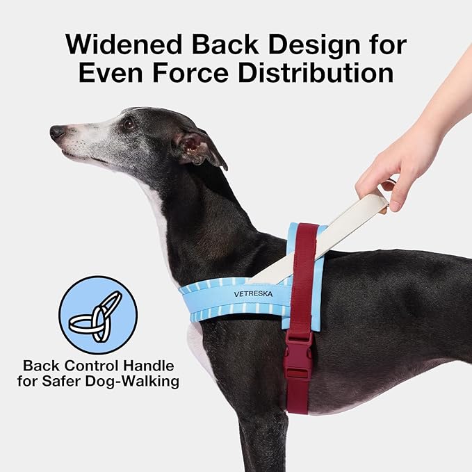 VETRESKA Dog Harness No Pull, Easy Control No Choke Dog Harness Collar for Large, Medium Size Dogs, Adjustable Dog Vest, Easy Walk Pet Vest Harness with Heavy Duty Anti-Twist Dog Leash, Misty Melo L