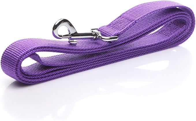 Nylon Dog Leash 12 Feet Long, Walking Training Dog Leashes for Medium Large Dogs(1" X 12 ft, Purple)