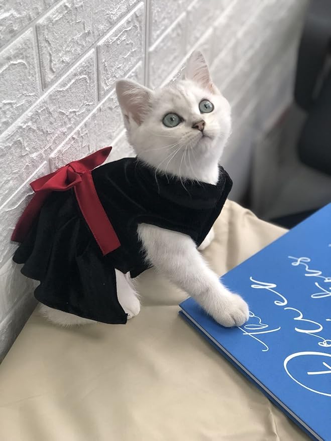 Pet Dresses for Small Dogs Cats Girl, Cute Princess Bowknot Dress Puppy Shirt All Weather Skirt Clothes Cat Apparel for Birthday Wedding Party Holiday (X-Small, Velvet Black)