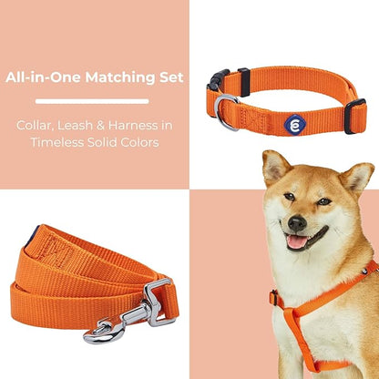 Blueberry Pet Essentials Dog Harness and Leash Set - Large Orange Vermilion Dog Collar and Leash Set for Eco-Conscious Owners, Adjustable, Durable, 4 ft Leash, Ideal for Active Pet Parents