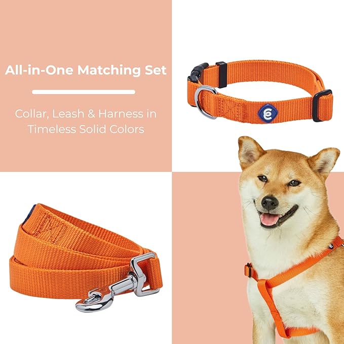 Blueberry Pet Essentials Matching Dog Collar Leash Harness Set in Orange Vermilion, Adjustable Classic Solid Color Nylon Collar with Harness & 5 ft Leash for Medium Dogs