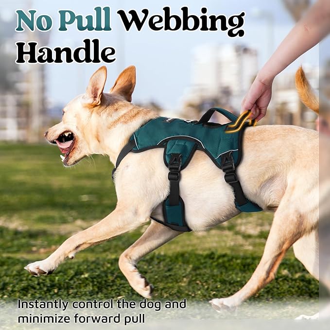 rabbitgoo Escape Proof Dog Harness Medium, Soft Padded Full Body Pet Harness, Reflective Adjustable No Pull Vest with Lift Handle and Leash Clip for Walking Hiking Training, Dark Green, M