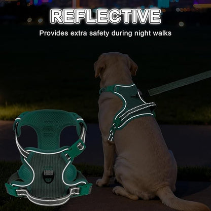BEAUTYZOO No Pull Dog Harness, Adjustable Dog Harness and Leash Set -Easy Wearing with 3 Buckles/Control Handle,No Choke Soft Padded Reflective Pet Vest for Training Walking Hiking,Solid Aqua Blue S