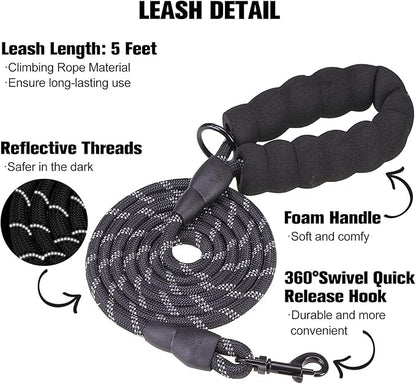 BEAUTYZOO Dog Harness and Leash Set for Small Dogs,No Pull Step-in Harness for Puppy XS S Sized Dogs and Cats,Air Mesh Adjustable Breathable Soft No Choke Escape Proof Vest Harnesses,Striped Teal XXS