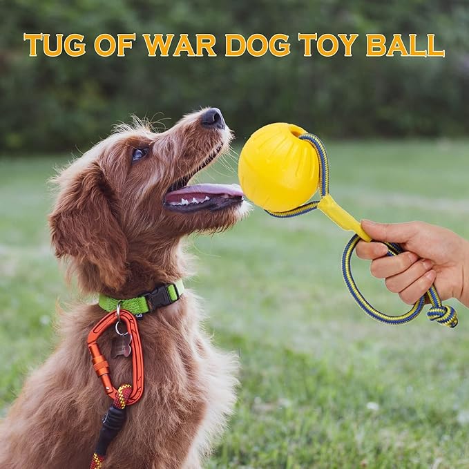 Dog Toy On a Rope, Floating Foam Ball With Rope, Tug Toy for Small Medium Large Dogs Fetch, Catch, Throw, Training (Yellow)