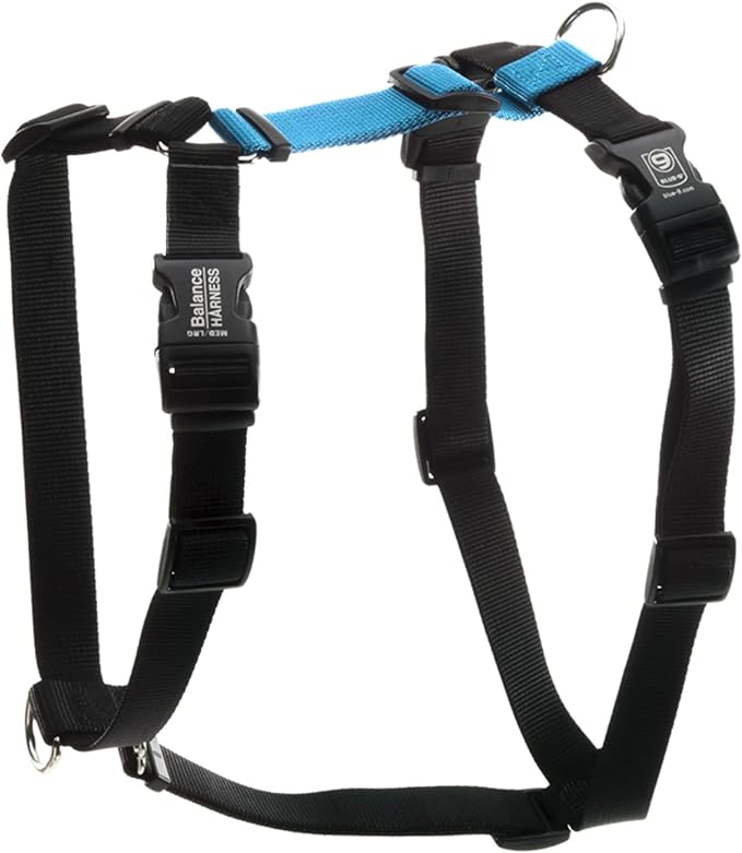 Blue-9 Buckle-Neck Balance Harness, Fully Customizable Fit No-Pull Harness, Ideal for Dog Training and Obedience, Made in The USA, Sky Blue, Medium