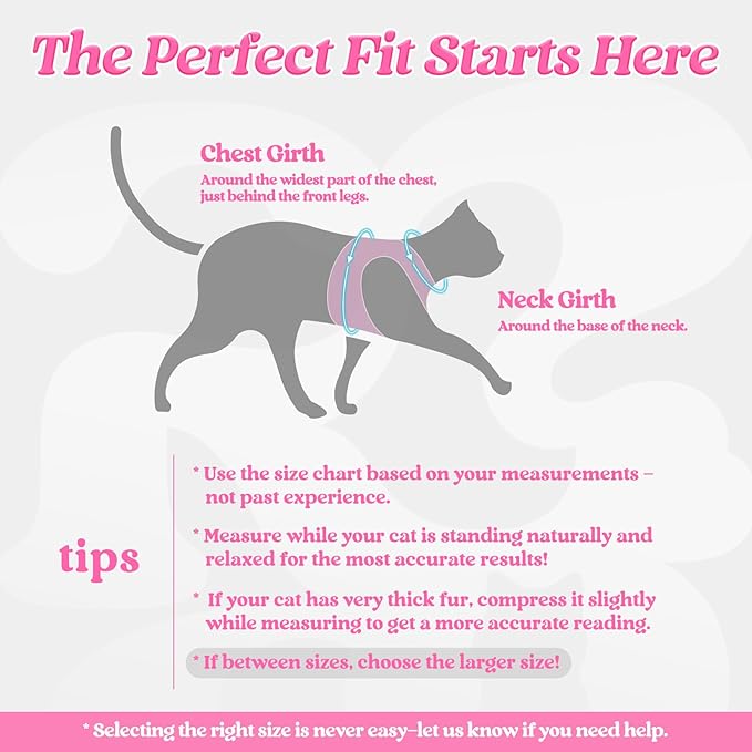 rabbitgoo Cat Harness and Leash Set for Walking Escape Proof, Adjustable Soft Kittens Vest with Reflective Strip for Cats, Comfortable Outdoor Vest, Pink, L