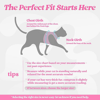 rabbitgoo Cat Harness and Leash Set for Walking Escape Proof, Adjustable Soft Kittens Vest with Reflective Strip for Cats, Comfortable Outdoor Vest, Pink, M