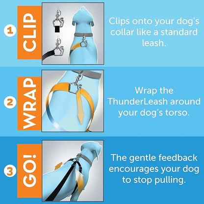 ThunderLeash No-Pull Dog Leash (Small (12 to 25 lbs), Grey)