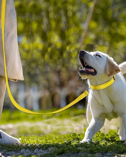 Joytale Double-Sided Reflective Dog Leash, 6 FT/5 FT/4 FT, Padded Handle Nylon Heavy Duty Leashes for Medium & Large Dogs Walking, Yellow, 5FT