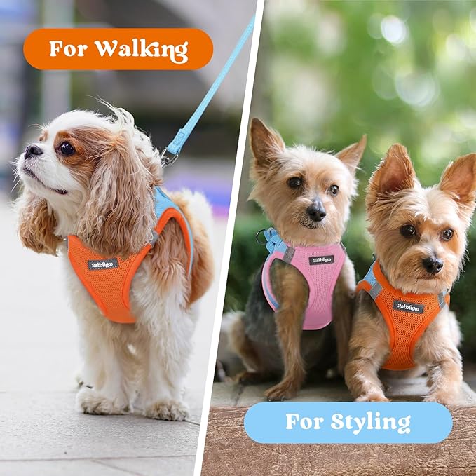 rabbitgoo Small Dog Harness, Step-in Soft Mesh Puppy Vest with Safety Buckle, Breathable Reflective Pet Harness for Small Sized Dogs, Blue & Orange XS