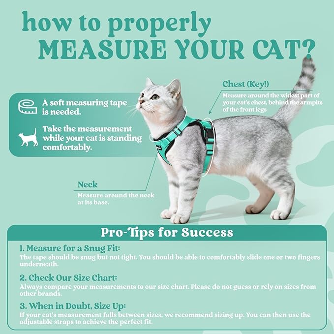 rabbitgoo Cat Harness and Leash for Walking, Escape Proof Soft Adjustable Vest Harnesses for Cats, Easy Control Breathable Reflective Strips Jacket, Emerald, M