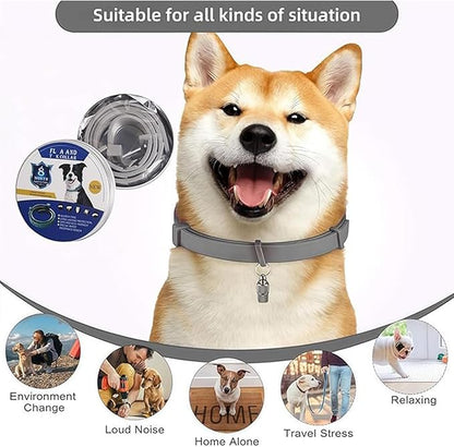 Large and Small Dog Flea Collar Vet-Recommended Dog Flea&Tick Treatment Prevention Collar for Dogs Under 18 lbs. | As Long as 8 Months Protection