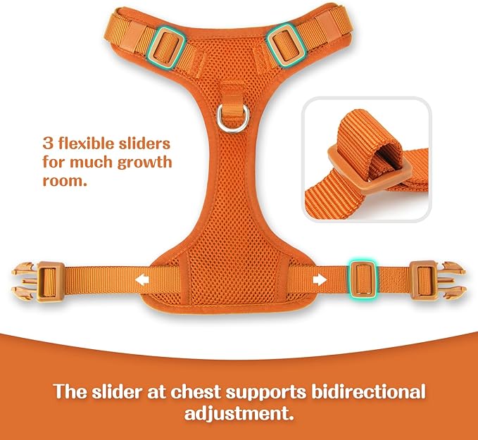 No Pull Dog Harness for Small Medium Large Dogs - Adjustable 2 Layer Mesh Dog Vest with Dual Clip, Escape Proof, Quick Release, Lightweight Breathable Mesh for Walking Hiking (Orange,S)