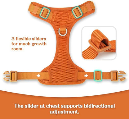 No Pull Dog Harness for Small Medium Large Dogs - Adjustable 2 Layer Mesh Dog Vest with Dual Clip, Escape Proof, Quick Release, Lightweight Breathable Mesh for Walking Hiking (Orange,XL)