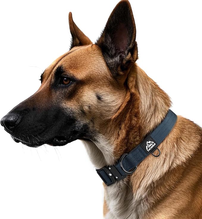 Dog Collar for Small Dogs Christmas Boy Girl- Adjustable, Chew Proof Nylon Collar with Metal Quick Release Buckle and D-Ring for Dog Tags (Navy Blue, S)(not Included The Pendant)