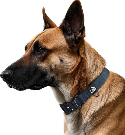 Dog Collar for Small Dogs Christmas Boy Girl- Adjustable, Chew Proof Nylon Collar with Metal Quick Release Buckle and D-Ring for Dog Tags (Navy Blue, S)(not Included The Pendant)