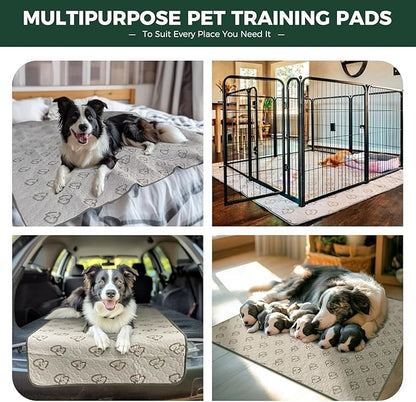 FXW Washable Pee Pads for Dogs, Leak-Proof & Non-Slip, Specifically Designed for Potty Training, Square, 39" x 39", 2 Packs