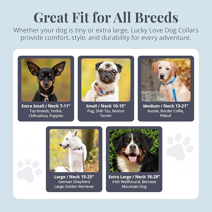 Lucky Love Dog - Adjustable Dog Collar with Easy Click Buckle for Small Dogs, Durable, & Comfortable for Male & Female Dogs, Pet Collar for Puppies & Adult Dogs - Hana, Small
