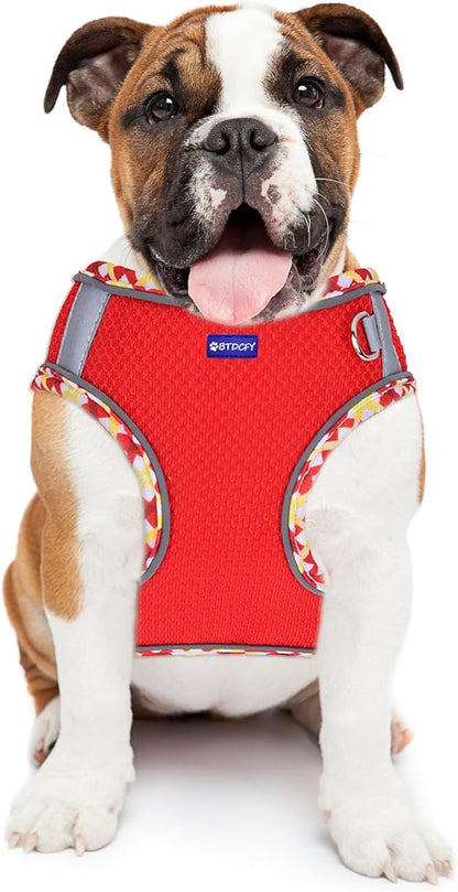 Step in Mesh Dog Harness and Leash Set - Breathable Air Mesh Reflective Escape Proof Dog Harness Vest - No Choke, Lightweight
