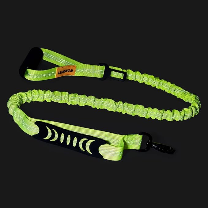 LEADSOM 6FT Highly Reflective Heavy Duty Elastic Bungee Medium and Large Dog Leash Shock Absorbing with Comfortable Padded Handle and Traffic Handle Suitable for Training