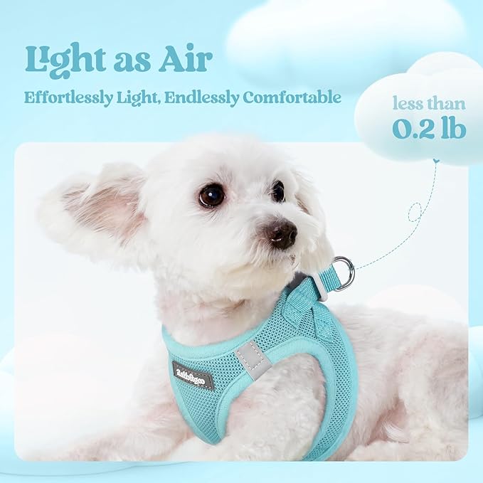 rabbitgoo Dog Harness Small Sized and Leash Set, Step in Soft Light Puppy Vest, Breathable Mesh Pet Harness, Reflective for Safe Easy Walking, Mint Blue M