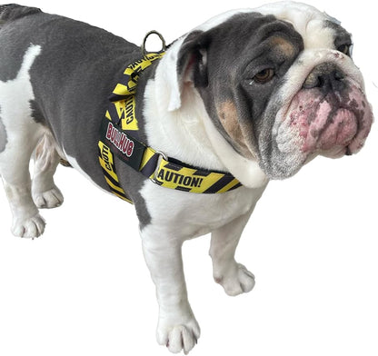 BULLHUG Adjustable Dog Harness– No Pull, No Choke – for English Bulldogs, French Bulldogs, Pugs & Broad-Chested Breeds – Easy, Safe Walks (Caution, XL)