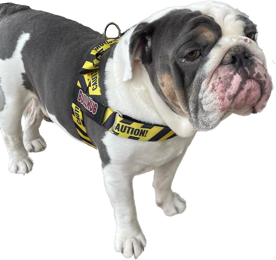 BULLHUG Adjustable Dog Harness– No Pull, No Choke – for English Bulldogs, French Bulldogs, Pugs & Broad-Chested Breeds – Easy, Safe Walks (Caution, Large)