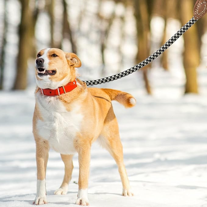 Mile High Life Rope Leash with Genuine Leather Connection, 6 FT/5 FT/4 FT, Heavy Duty Leash for Medium & Large Dogs (Black Khaki, 48 Inch)