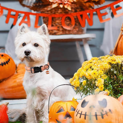 ARING PET Puppy Fall Dog Collar, Autumn Orange Black White Plaid Pet Collars for Small Medium Large Girl Boy Dogs Halloween-L Size
