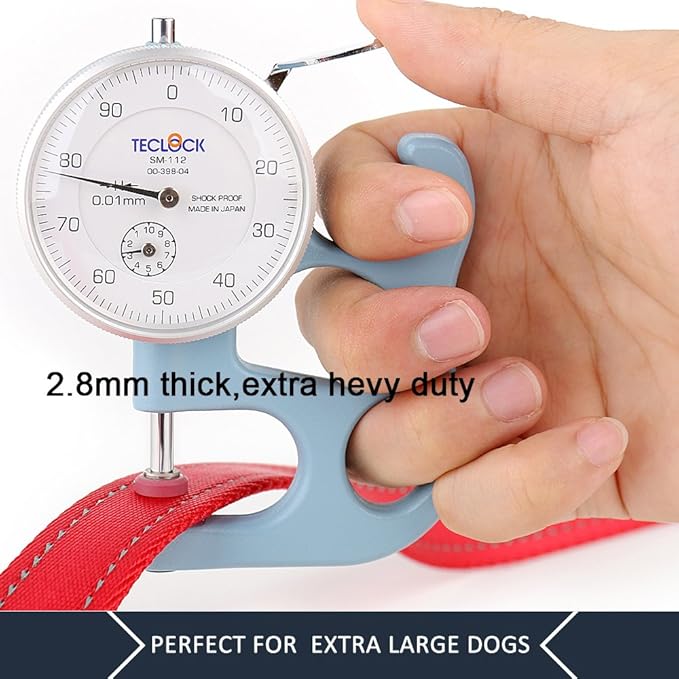 Plutus Pet Double Handle Dog Leash, 6ft, Padded, Heavy Duty, Reflective, Red, 2 Handle Leads
