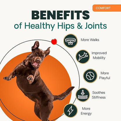 VetriScience Extra Strength Healthy Hip & Joint Chews, GlycoFlex Glucosamine & Green-Lipped Mussel Support Supplement for Dogs, Promote Mobility & Soothe Joint Discomfort, Chicken, 3 Pack