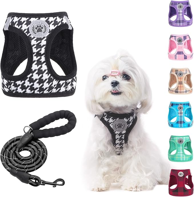 BEAUTYZOO Small Dog Harness and Leash Set,Step in No Choke No Pull Soft Mesh Dog Harnesses Reflective for Extra-Small/Small Medium Puppy Dogs and Cats, Plaid Dog Vest Harness for XS S Pets, Black XXS