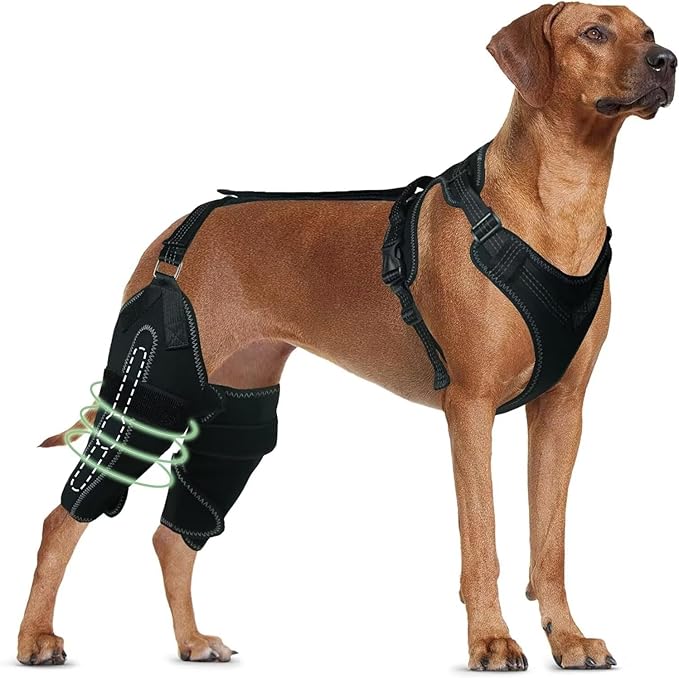 Dog Knee Brace for ACL/CCL Injuries,Torn Ligament,Pain Relief,Joint Warmth,Luxating Patella - Rear Leg Support,Both Legs,Black,M