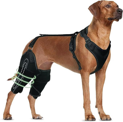 Dog Knee Brace for ACL/CCL Injuries,Torn Ligament,Pain Relief,Joint Warmth,Luxating Patella - Rear Leg Support,Black,Both Legs,Size:Customized
