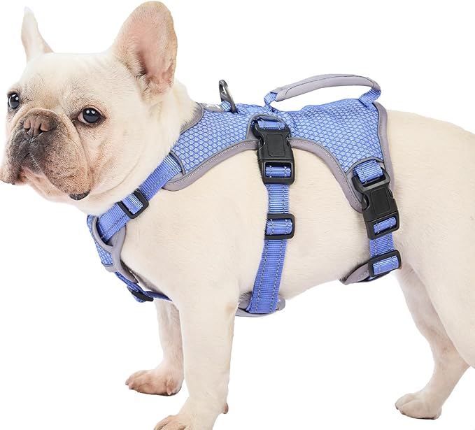 Huntboo Escape Proof Dog Harness, Escape Artist Harness, Reflective Dog Harness with Handle, Durable,Adjustable Vest for Small Medium Large Dogs Walking, Training, and Running Gear(Technicolor Blue,M)