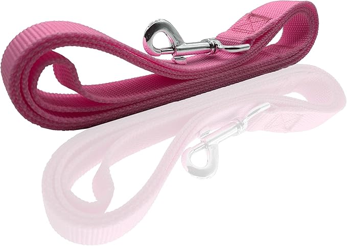 Nylon Dog Leash 10 Feet Long, Walking Training Dog Leashes for Medium Large Dogs, 1 Inch Wide (Pink)