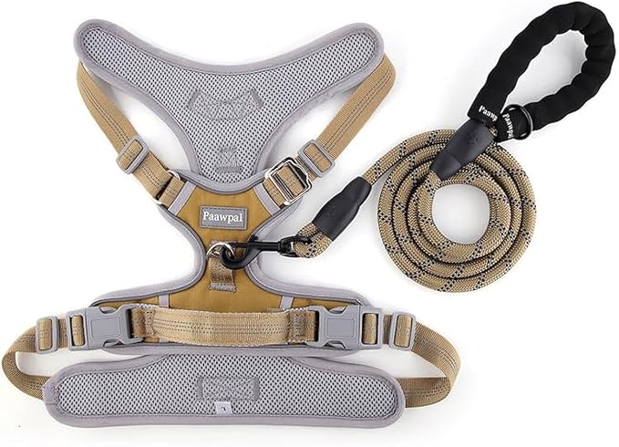 Paawpal Adjustable Dog Harness - No Pull, Reflective, Soft Padded for Small, Medium, Large Dogs - Includes Leash Beige S