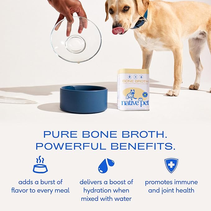 Native Pet Bone Broth for Dogs and Cats - Chicken Bone Broth Powder Dog Food Toppers for Picky Eaters - Provides Extra Nutrition for Joint Strength, Immune Support & Heart Health - 48 Scoops